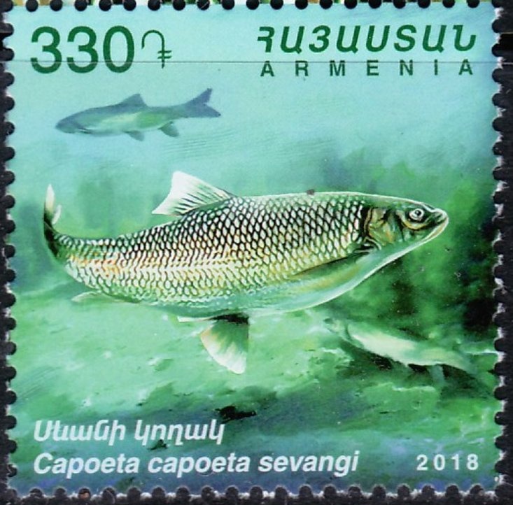 Chinese New Year 2025 - Year of the Snake