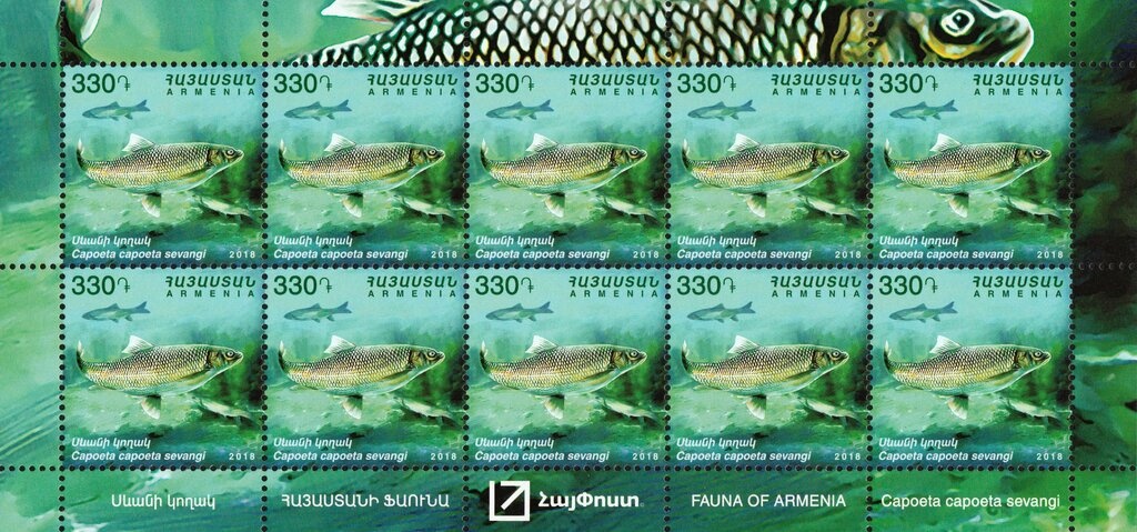 Historical Means of Transport - Cart