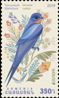 Sateni Dekhin Apricots (Armeniaca vulgaris)