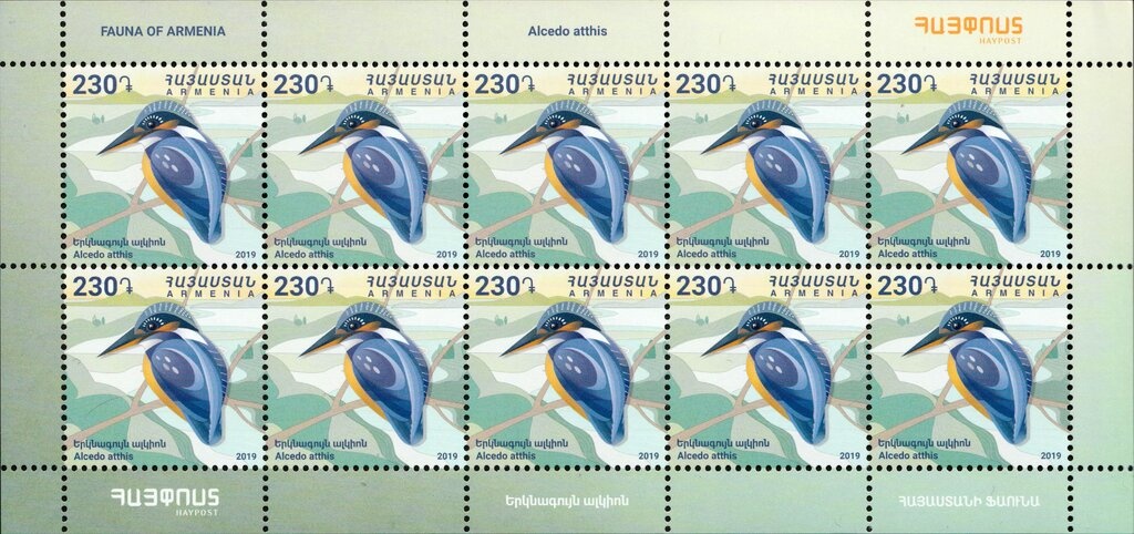 Small Five-toed Jerboa (Allactaga elater)