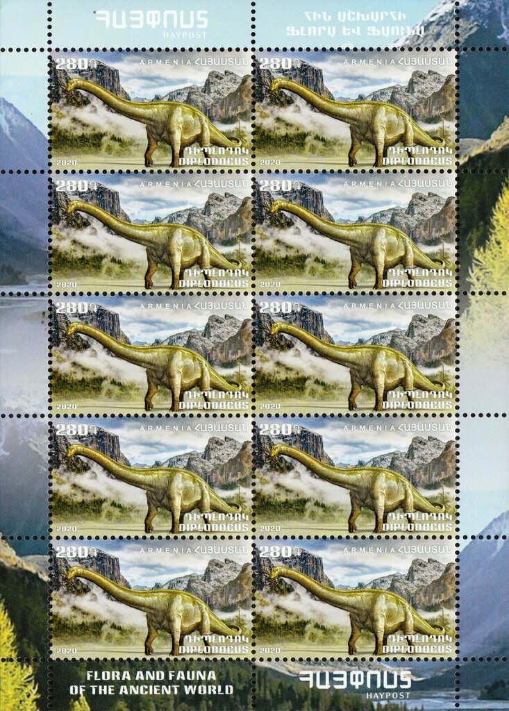 Mallard (Anas platyrhynchos)