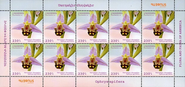 Berd, Armenian Folk Dance