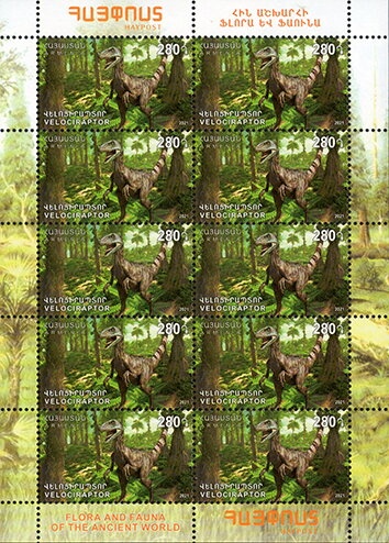 Northern pintail (Anas acuta)