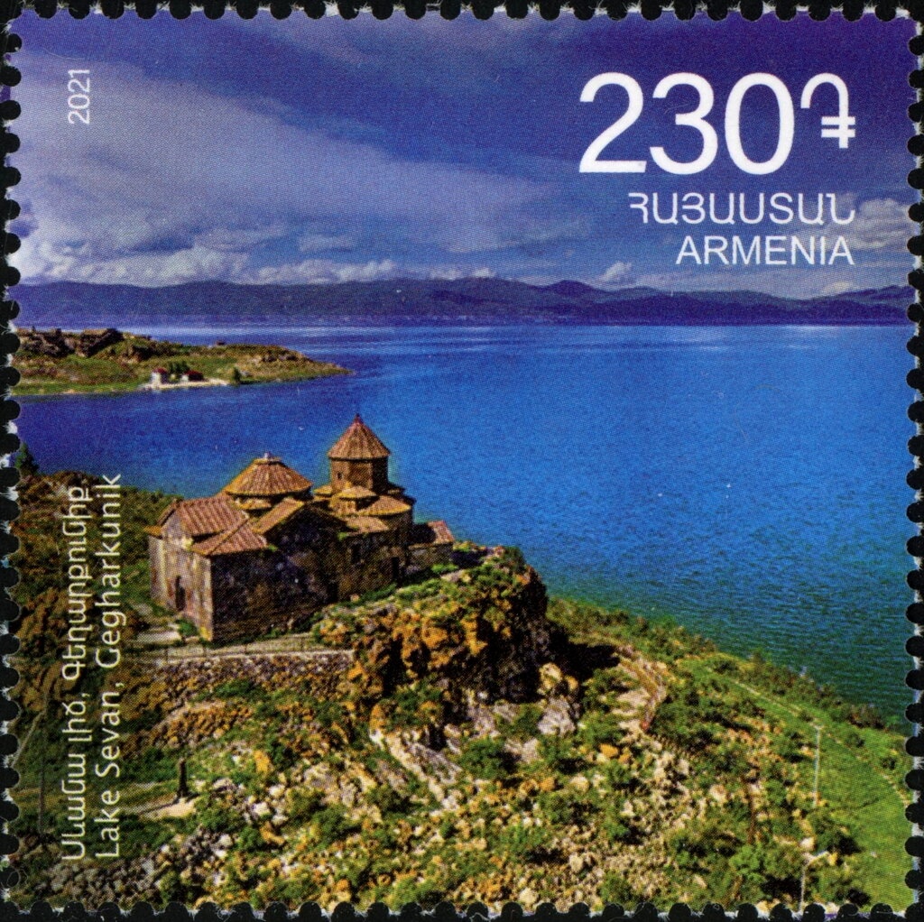 Cinereous Vulture (Aegypius monachus)