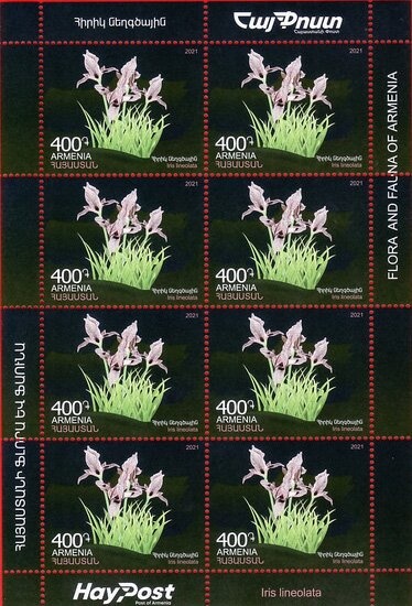 Holy Mother of God Cathedral, Stepankert