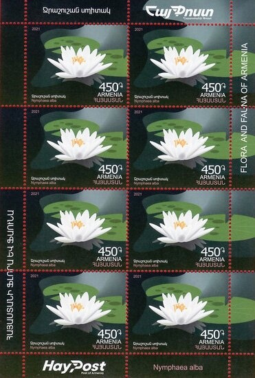 Adult reading to children