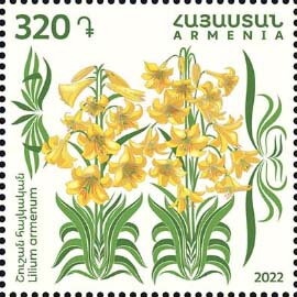 Armenia, Silver Medalists at World Chess Olympiad