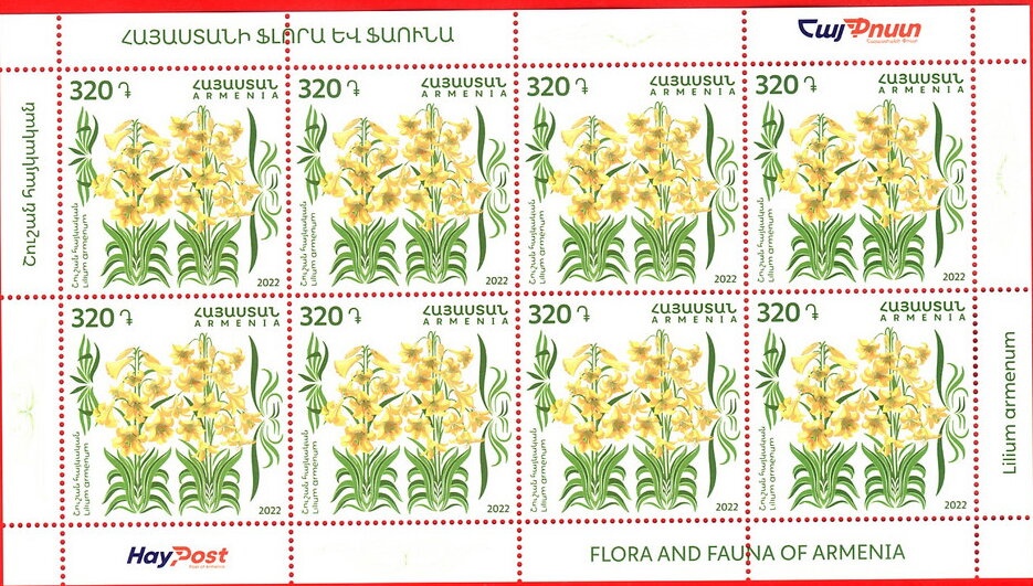 Junior Eurovision Song Contest 2011 - Yerevan