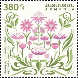 Tiger Longwing (Heliconius hecale)