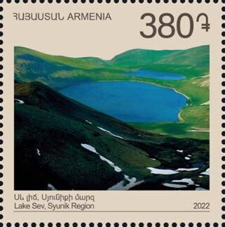 African Wild Ass (Equus asinus)