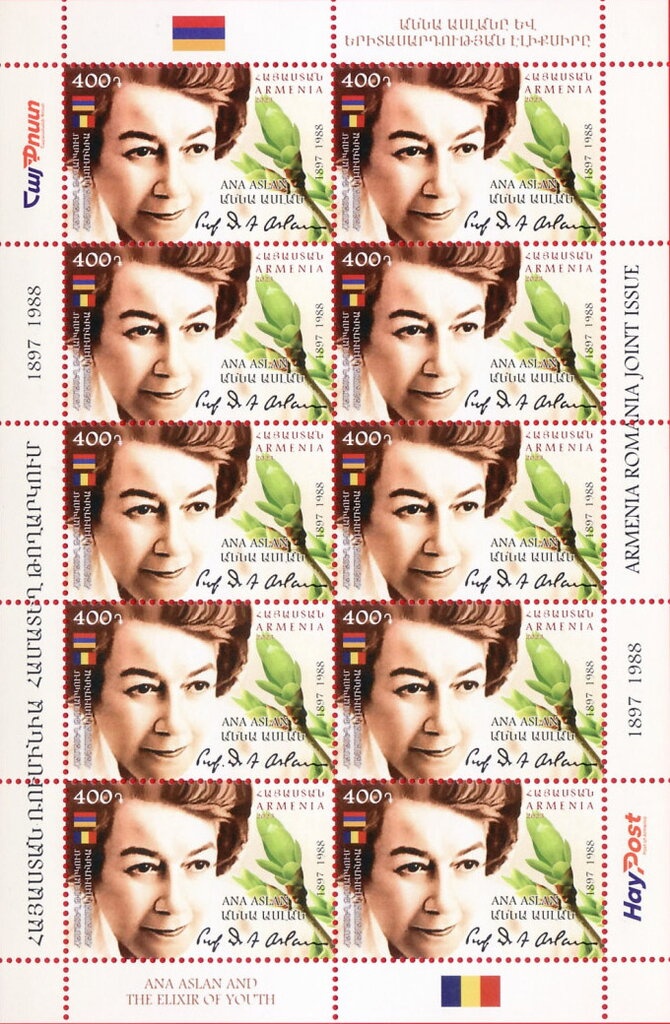 Armenian Castle, Amberd (X-XIII c.)