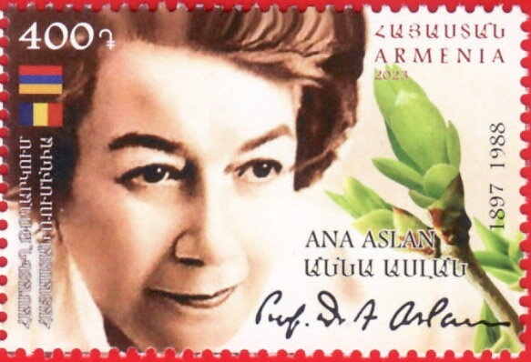 Traditional Cuisine - Gata Pastry