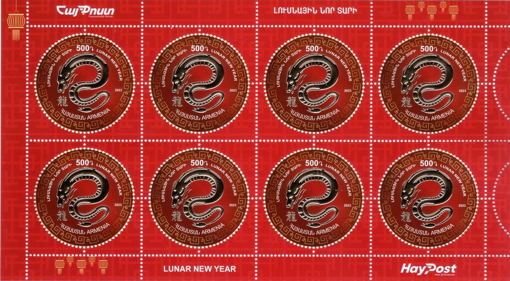 Caribbean Reef Octopus (Octopus briareus)