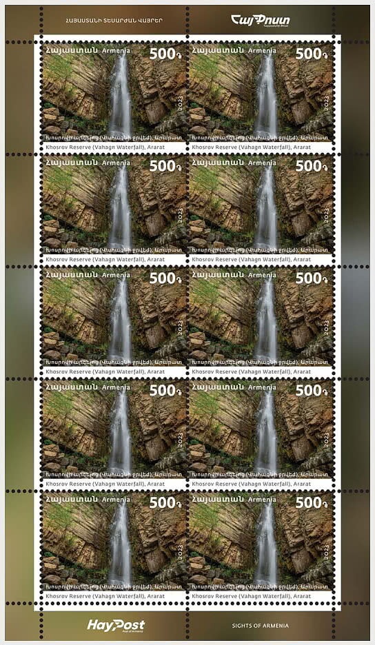 Dividivi Tree (Libidibia coriaria) - Butterfly