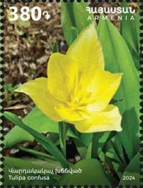 Seventh Pan-Armenian Games