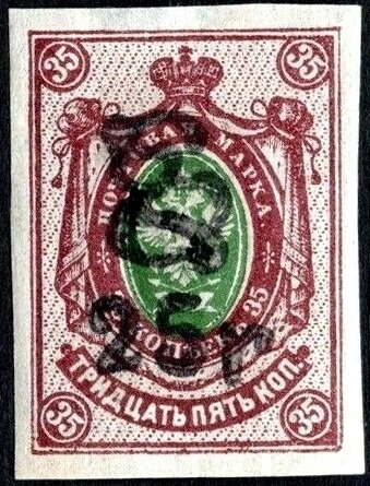 Fleecy Milkcap (Lactarius vellereus)