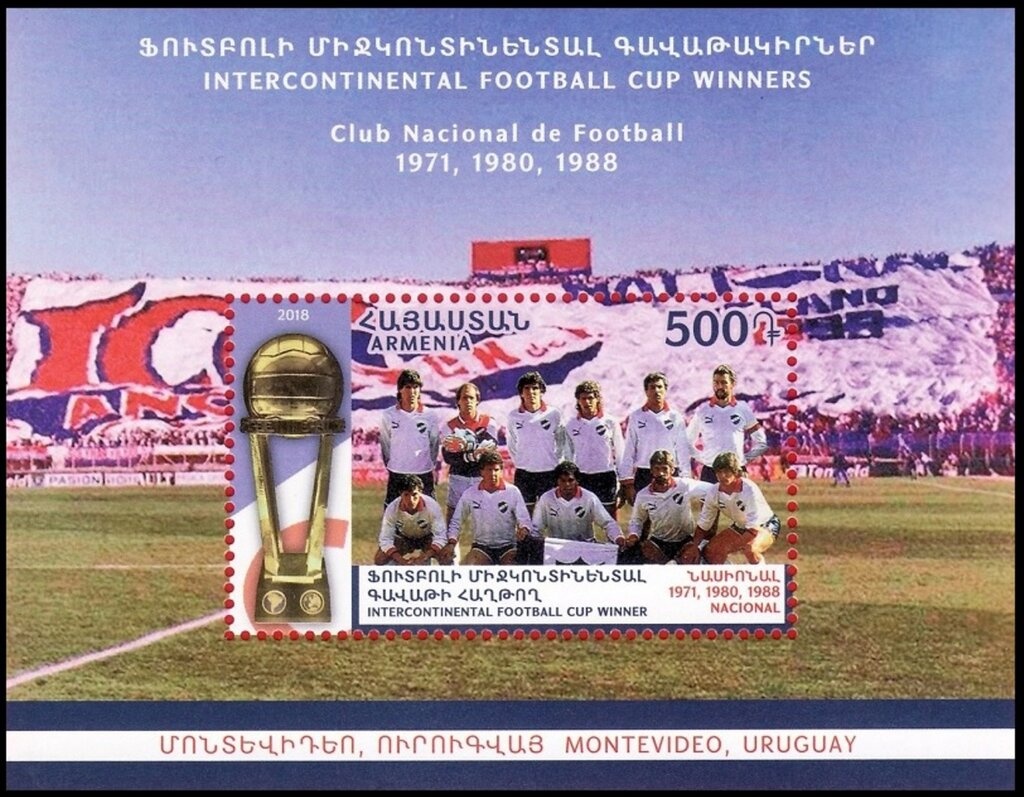 Horsfield's Tortoise (Testudo horsfieldii)