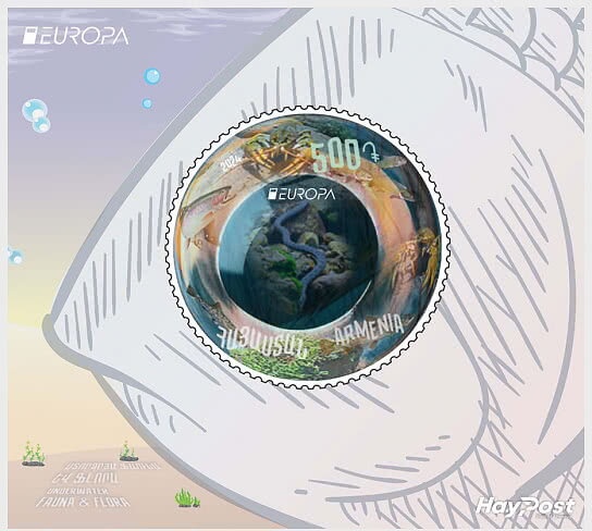 Dragonfly (Odonata anisoptera)