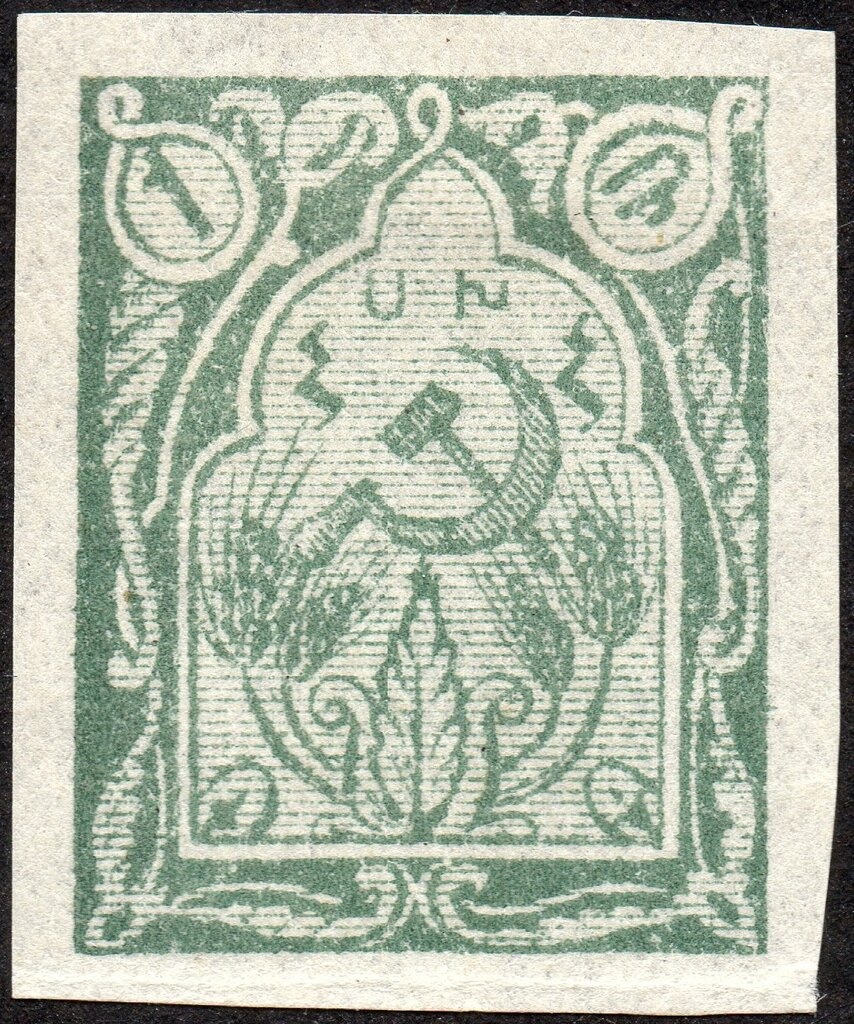 Common Long-eared Hedgehog (Hemiechinus auritus)