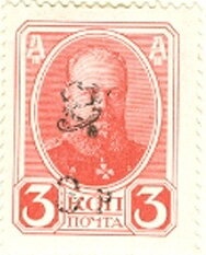 Cinereous Vulture (Aegypius monachus)