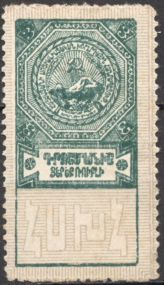 Burrowing Owl (Athene cunicularia arubensis)