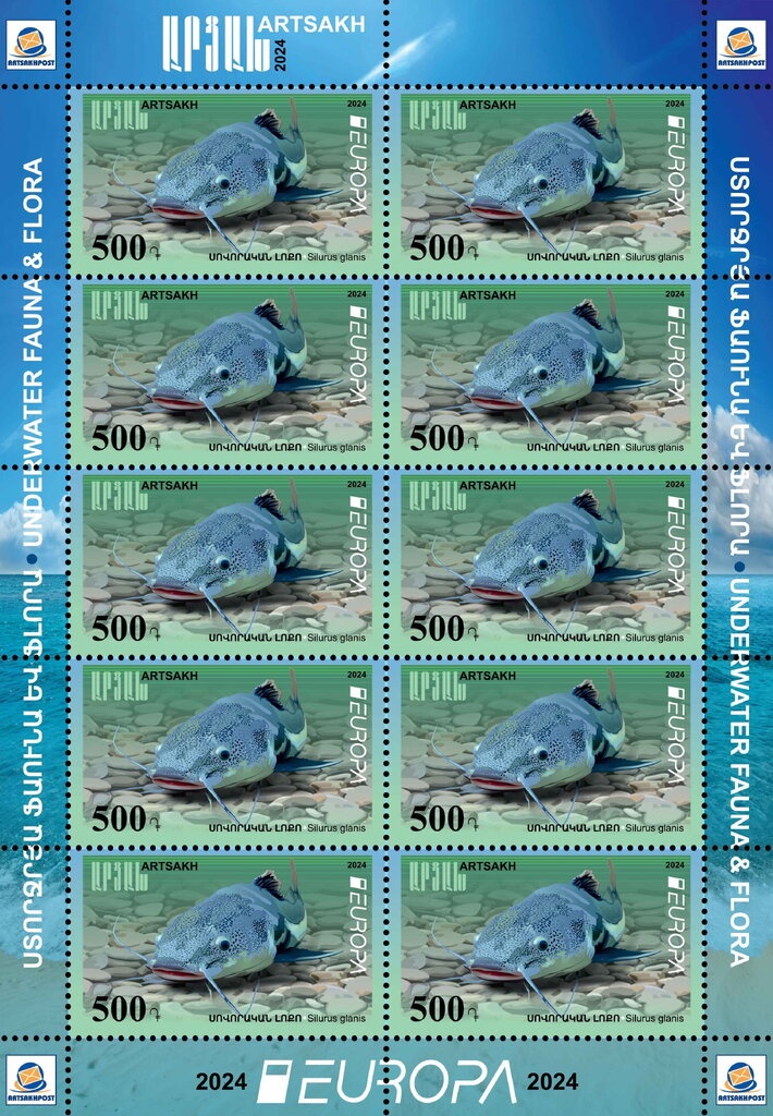 Long-crested Eagle (Lophaetus occipitalis)