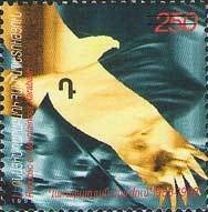 Scarlet Macaw (Ara macao)