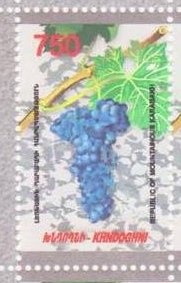 Woman with Spinning Wheel