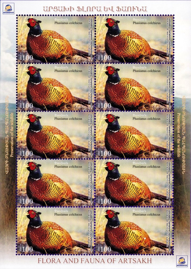 Shimarucu (Malpighia punicifolia)