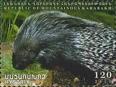 Harpy Eagle (Harpia harpyja)