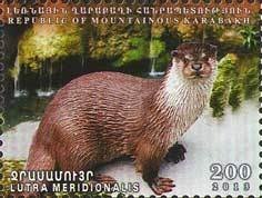 Earrings (10th-11th Century CE)