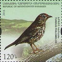 My Ball, Arlin Iycheyan (7 Years)