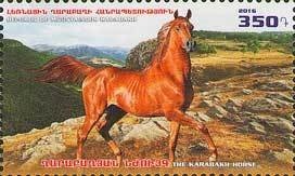 Stoplight Parrotfish (Sparisoma viride)