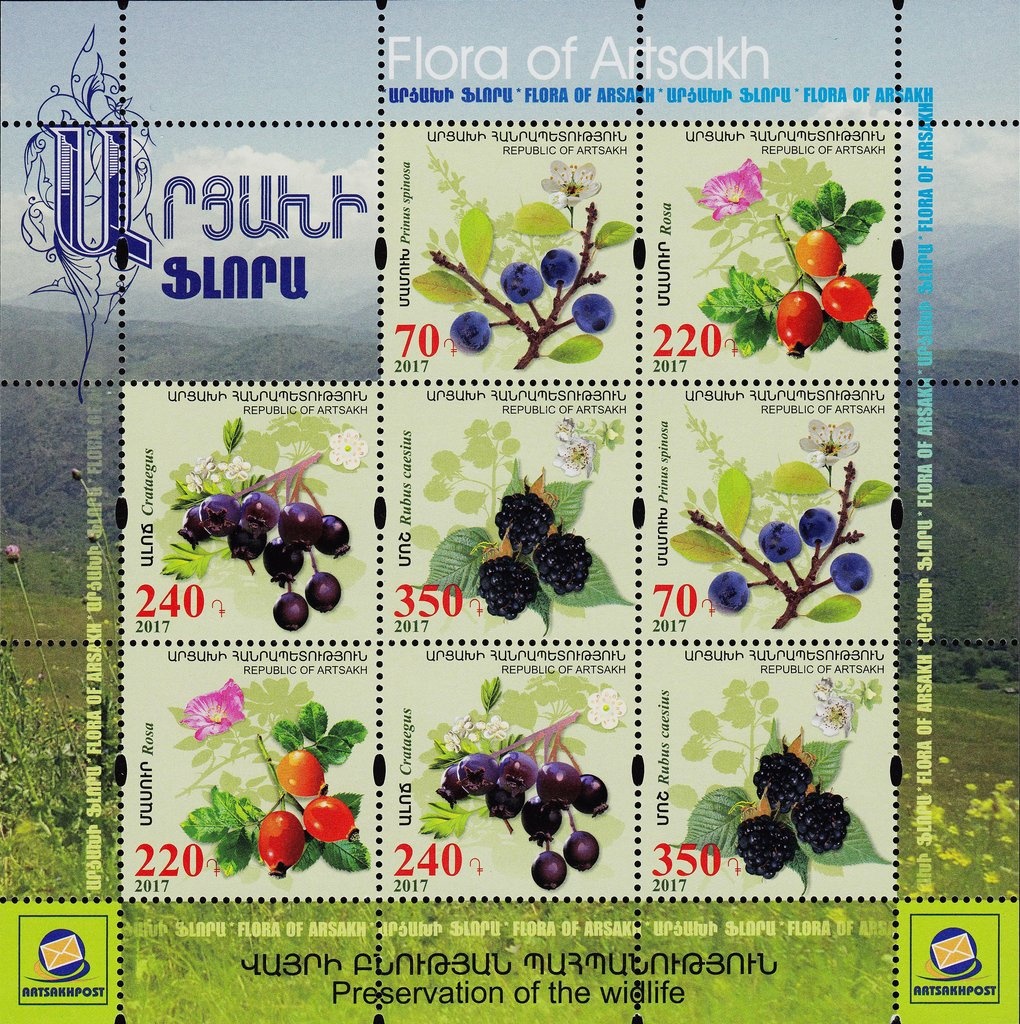 Astronomy - Constellation Virgin