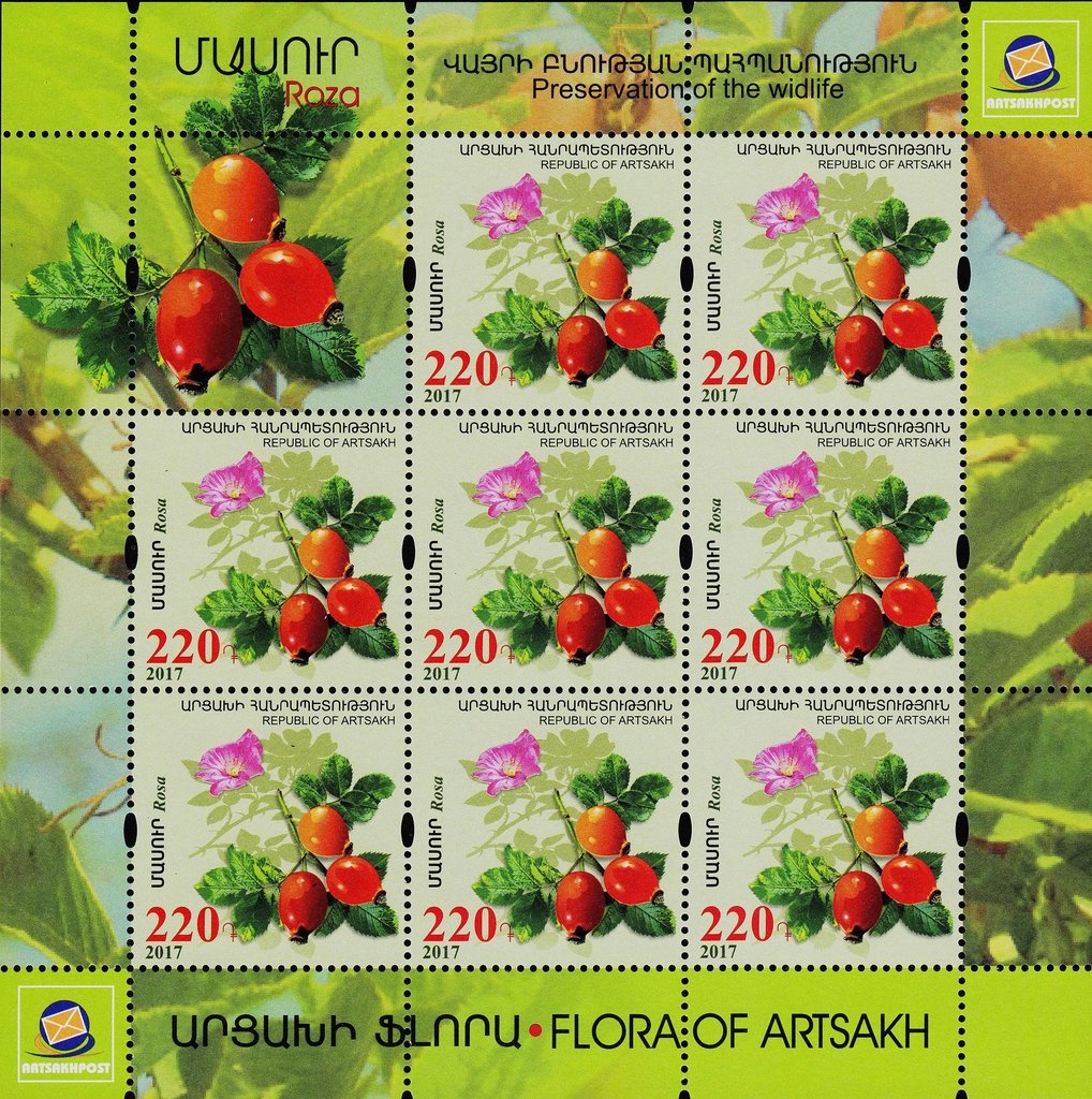 Yererouyk Basilica (VI c. AD), Shirak Region