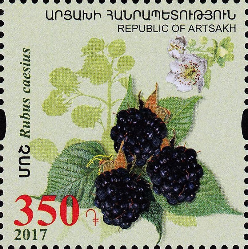 Plaque with a Refugee Train