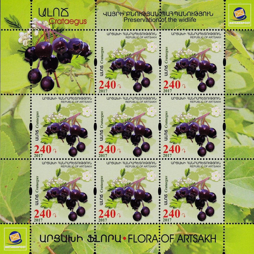 Museums of Armenia (2014)