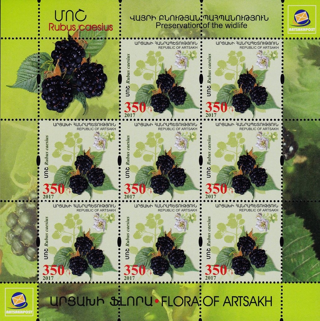 In memory of great football player Diego Maradona