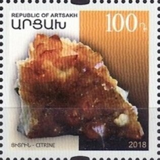 Shaggy Parasol (Macrolepioda rhacodes)