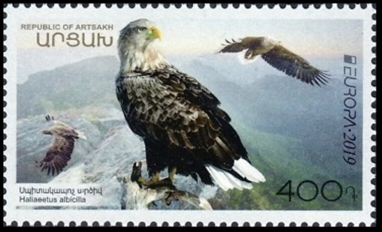 Ascension Scout Flag