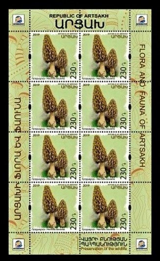 Pair, National Library, 60th Anniversary