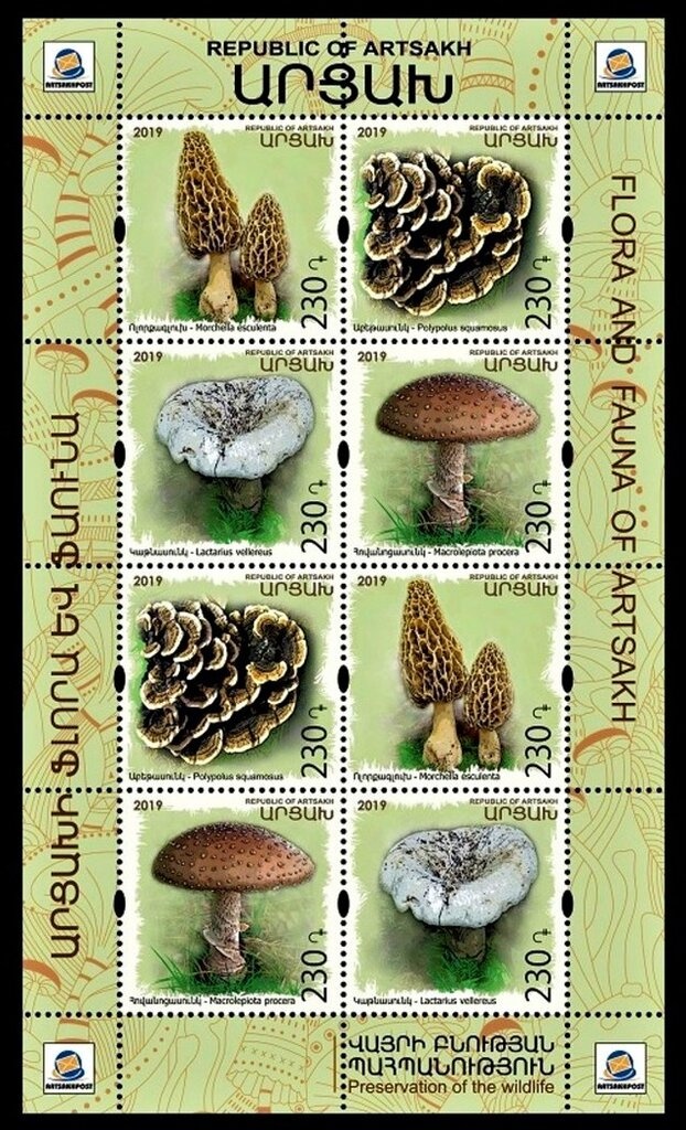 Maastricht Paper Money Fair