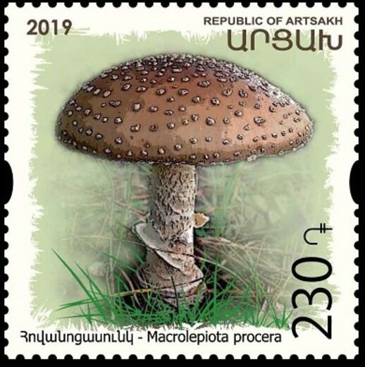 Tatev Monastery (founded 895), Cable Car (2010)