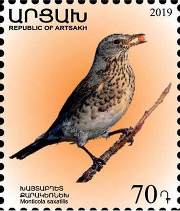 Victoria's Riflebird (Ptiloris victoriae)