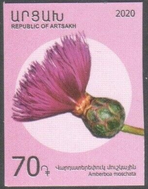 Year of the Culture of Aruba