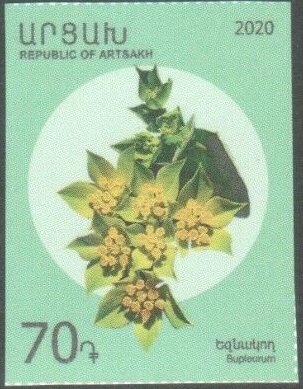 Orange Tip (Anthocharis cardamines)