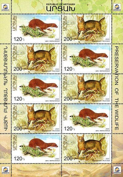 Armenian Films - The Big Win