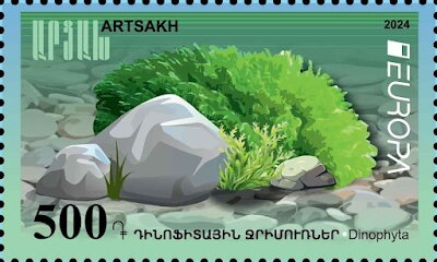 Burrowing Owl (Athene cunicularia arubensis)