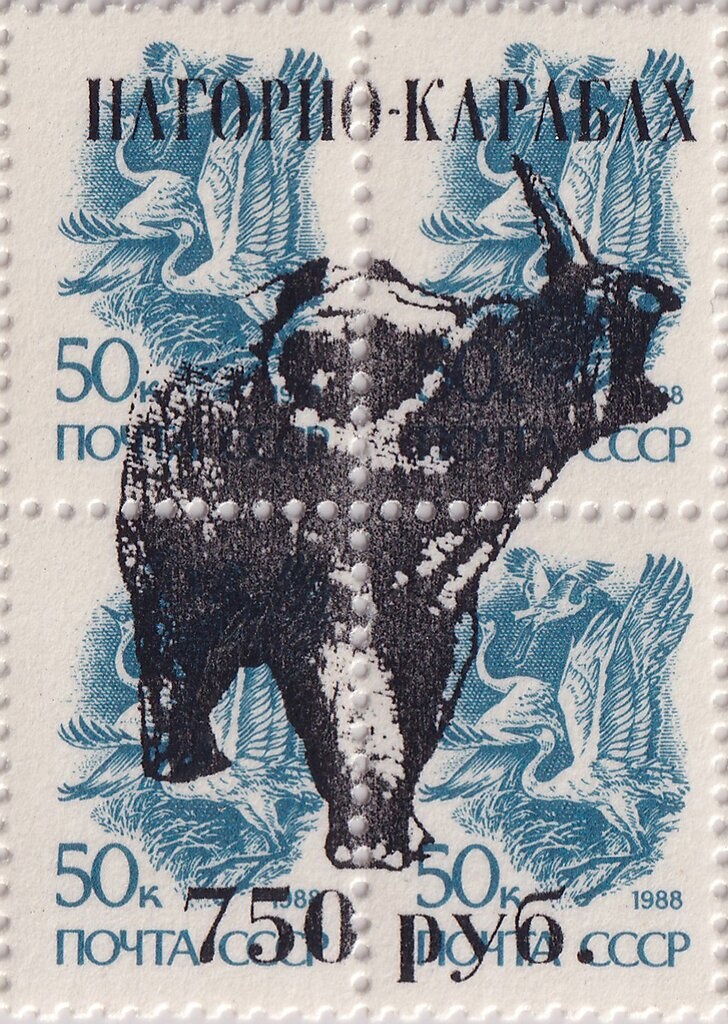 Burrowing Owl (Athene cunicularia)