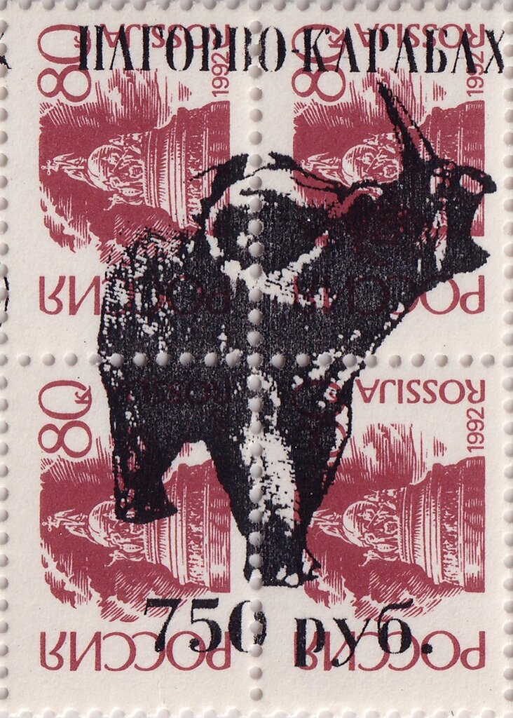 Blue-and-yellow Macaw (Ara ararauna)